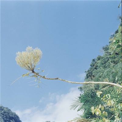 谷爱凌：正常生长