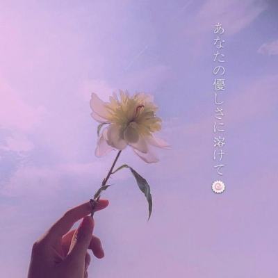 明星学园手游